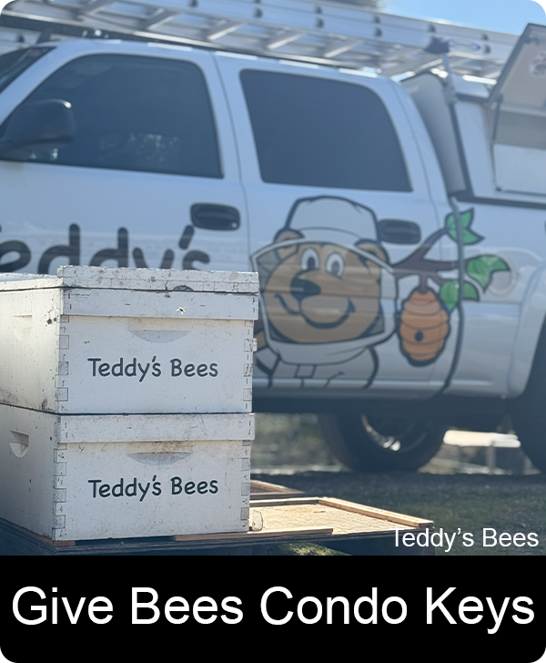 Picture of bees on a Bee box. nav link image
