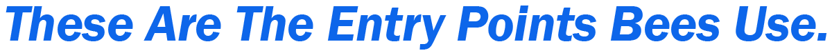 Teddys Bee Removal company logo with text saying these are the entry points that bees use to get in your house.